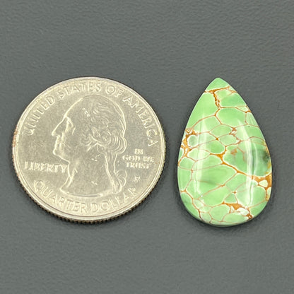 Variscite Green Turquoise Cabochon - Teardrop