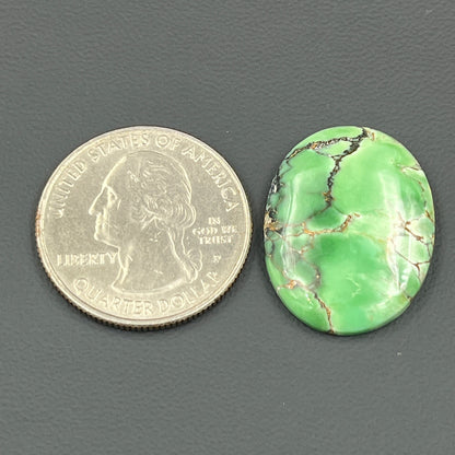 Variscite Green Turquoise Cabochon - Oval