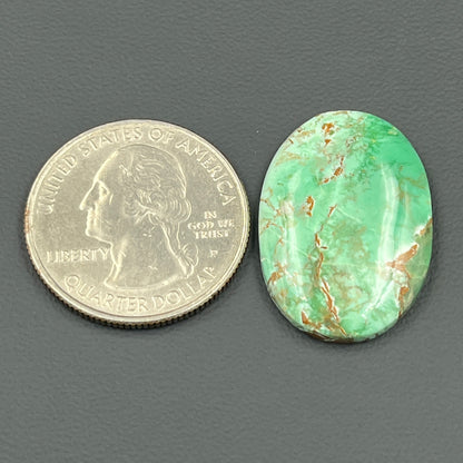 Variscite Green Turquoise Cabochon - Oval