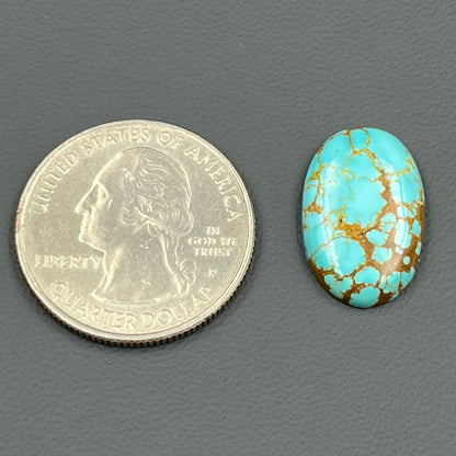 Number #8 Turquoise - Oval