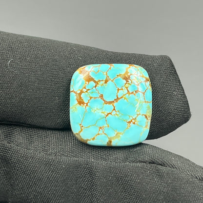 Number #8 Turquoise - Cushion