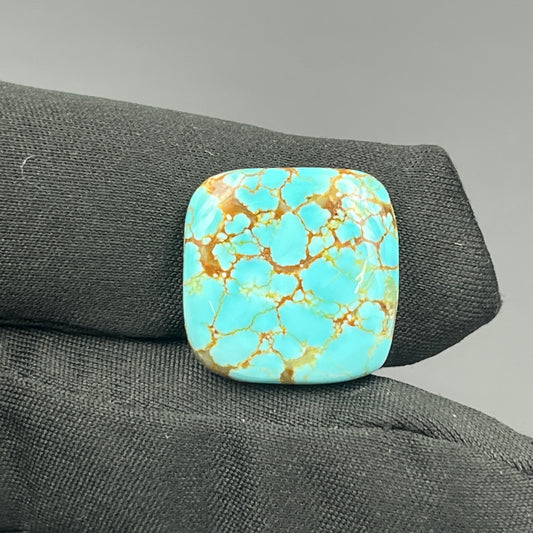 Number #8 Turquoise - Cushion