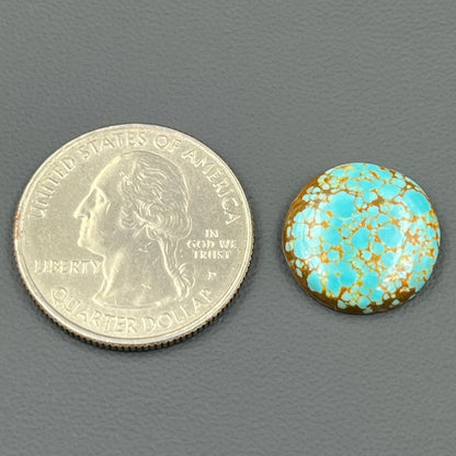Number #8 Turquoise - Round