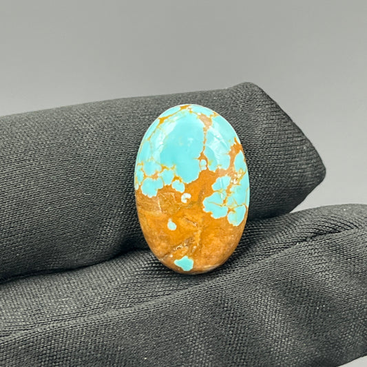 Number #8 Turquoise - Oval