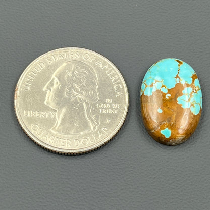 Number #8 Turquoise - Oval