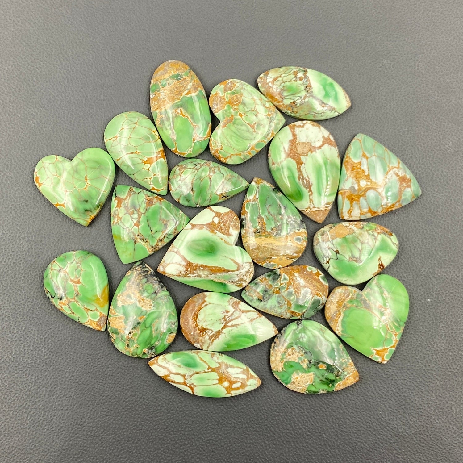 Australian Variscite Wholesale Lot - 19 Pcs
