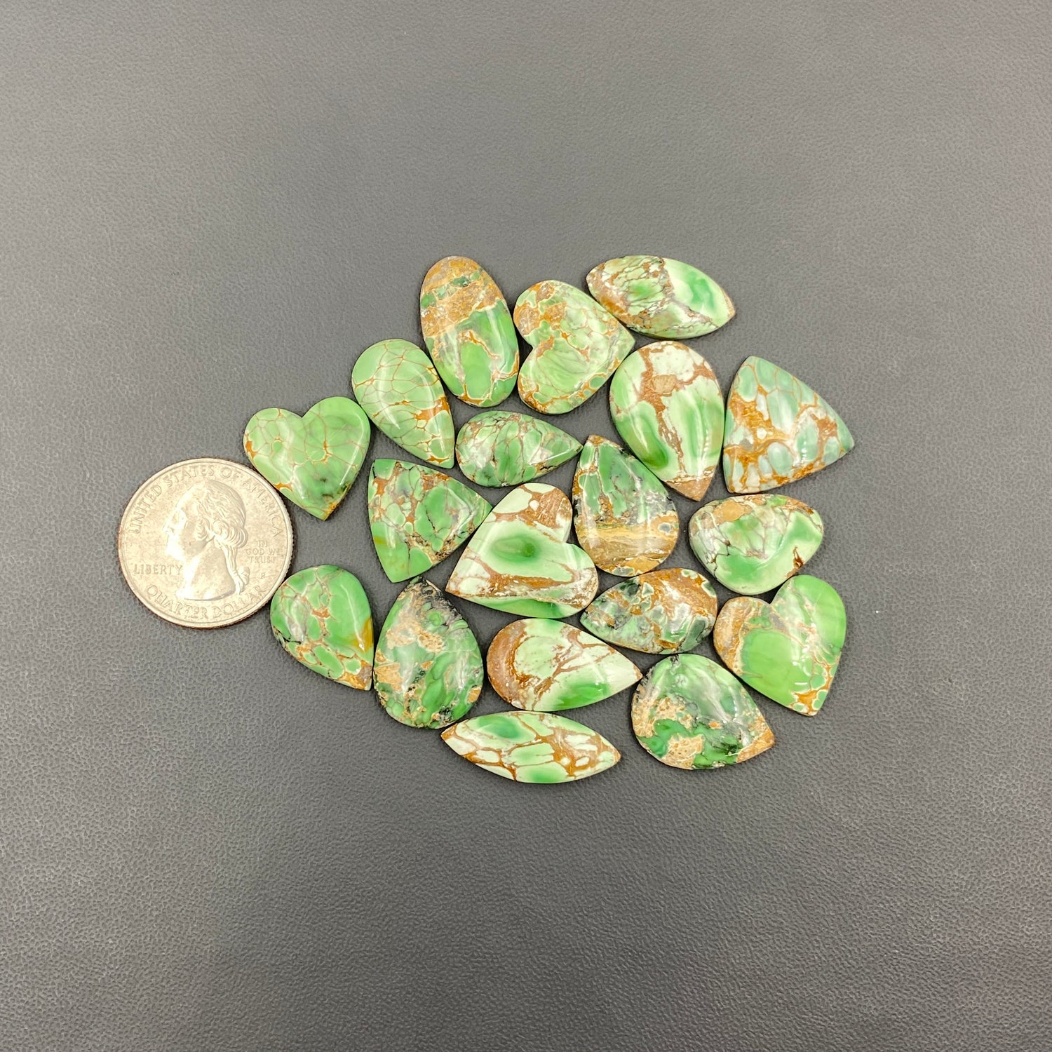 Australian Variscite Wholesale Lot - 19 Pcs