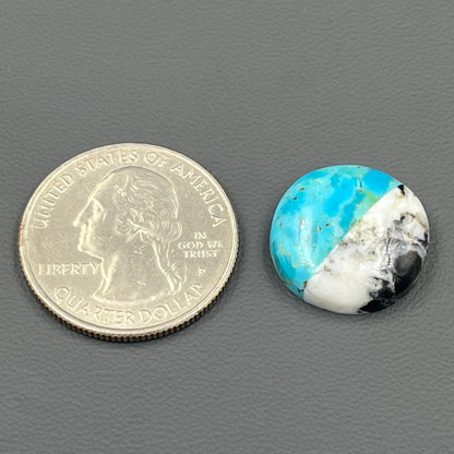 White Buffalo & Mohave Turquoise - Cabochon - Round