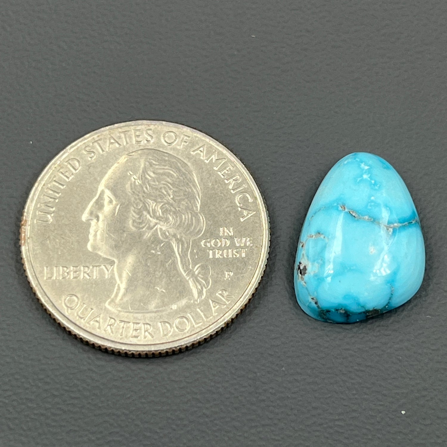 Blue Bird Turquoise Cabochon - Tumble