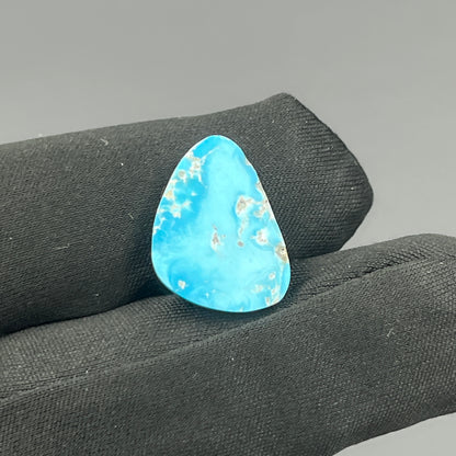 Blue Bird Turquoise Cabochon - Tumble