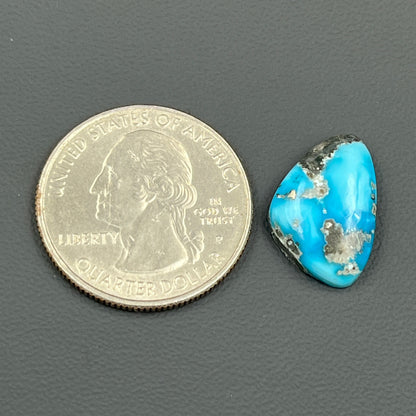 Blue Bird Turquoise Cabochon - Tumble