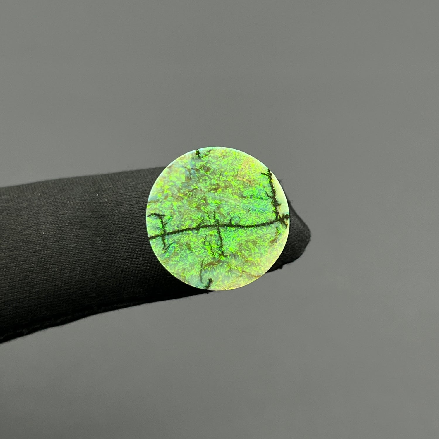 Monarch Opal - Sterling Opal Cabochon - Round