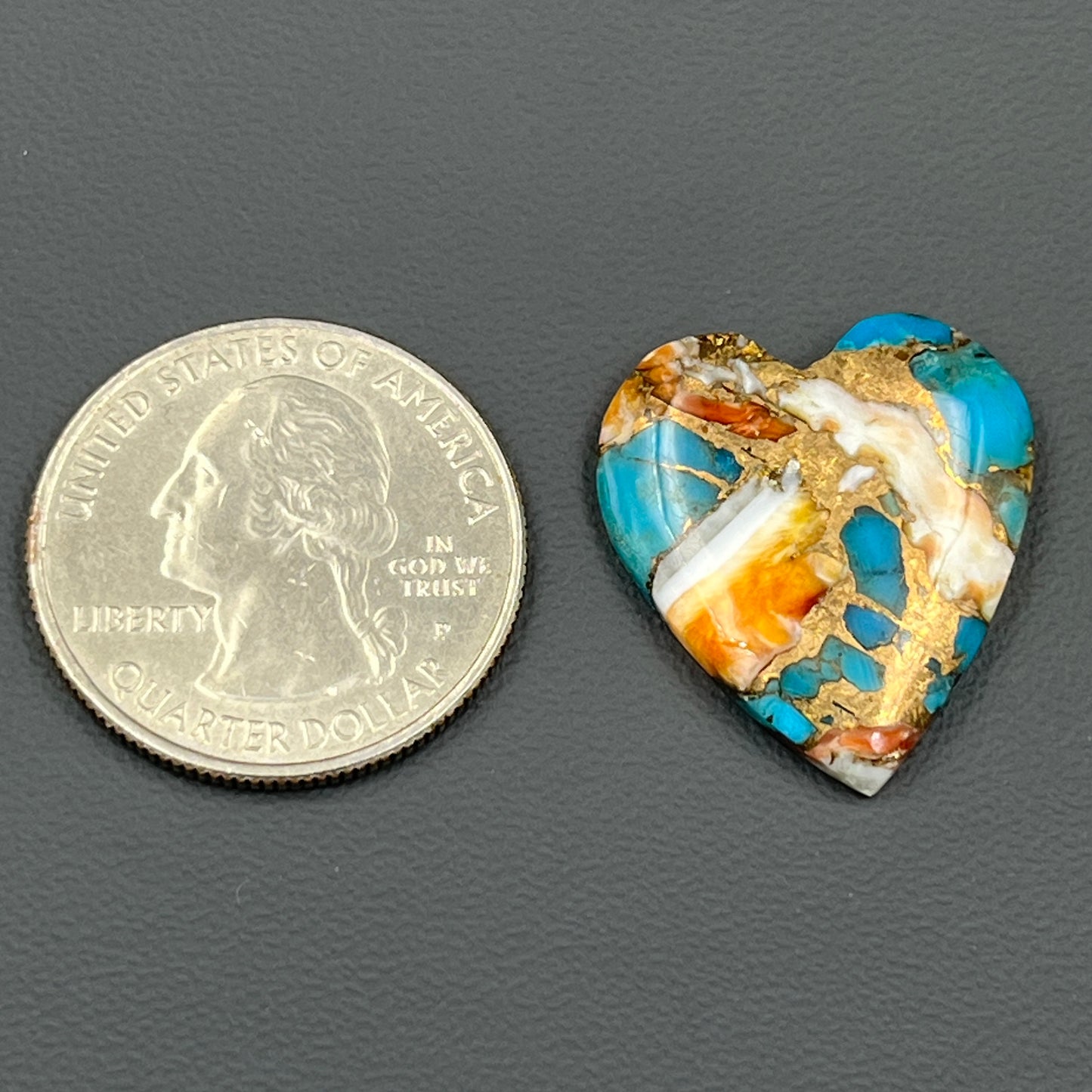 Kingman Spiny Oyster Turquoise - Loose Cab - Heart
