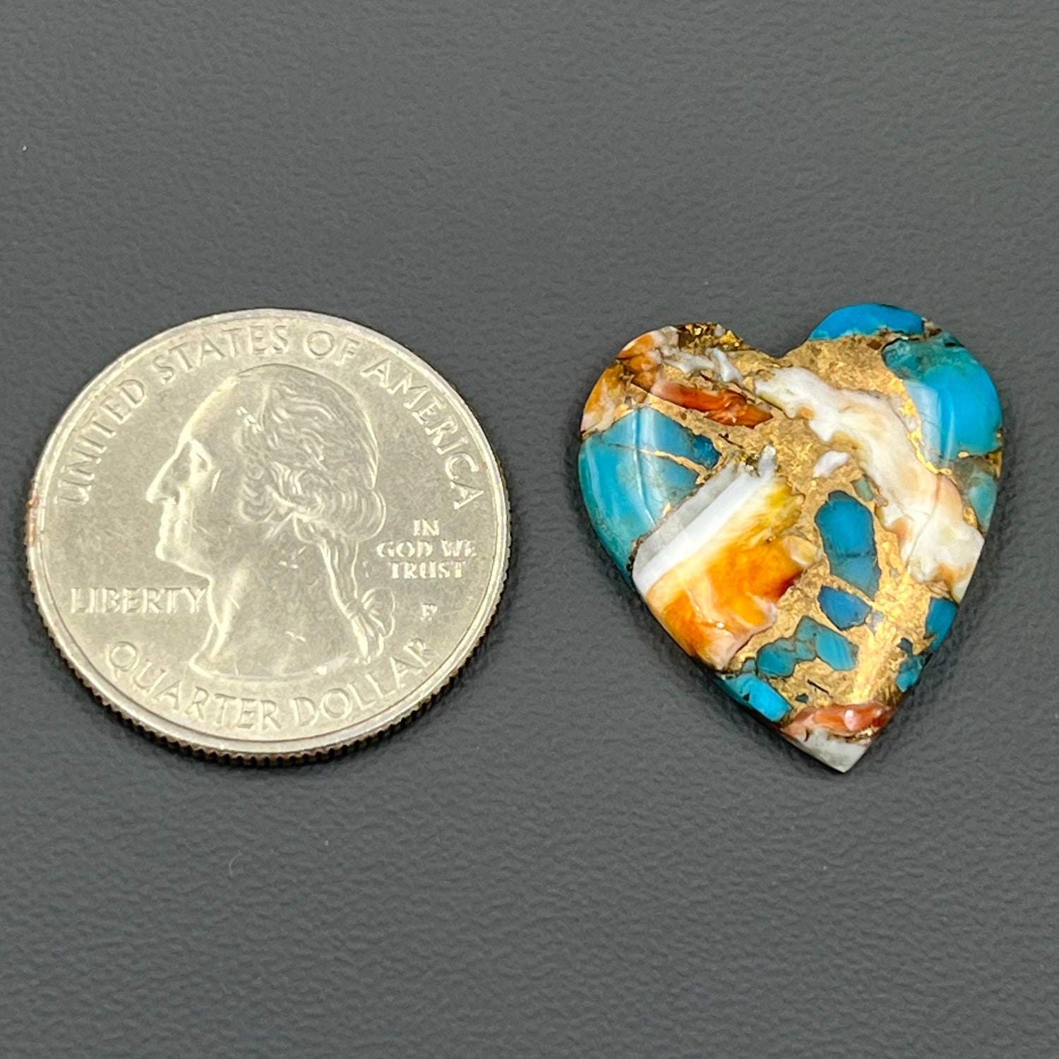 Kingman Spiny Oyster Turquoise - Loose Cab - Heart