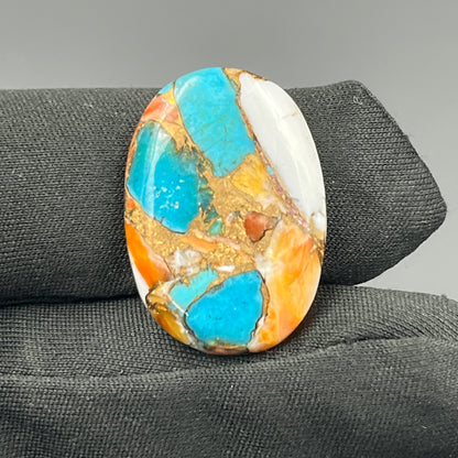 Kingman Spiny Oyster Turquoise - Loose Cab -Oval
