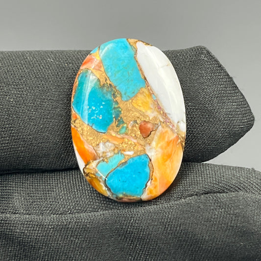 Kingman Spiny Oyster Turquoise - Loose Cab -Oval