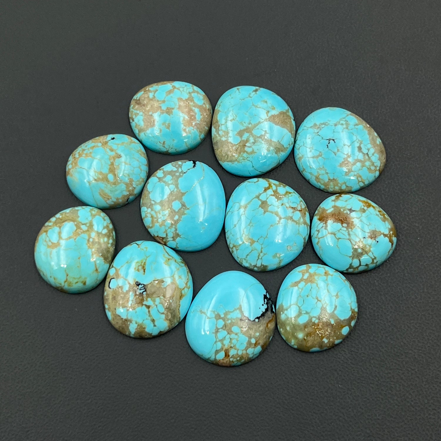 Mine 8 Turquoise Cabochon Wholesale Lot