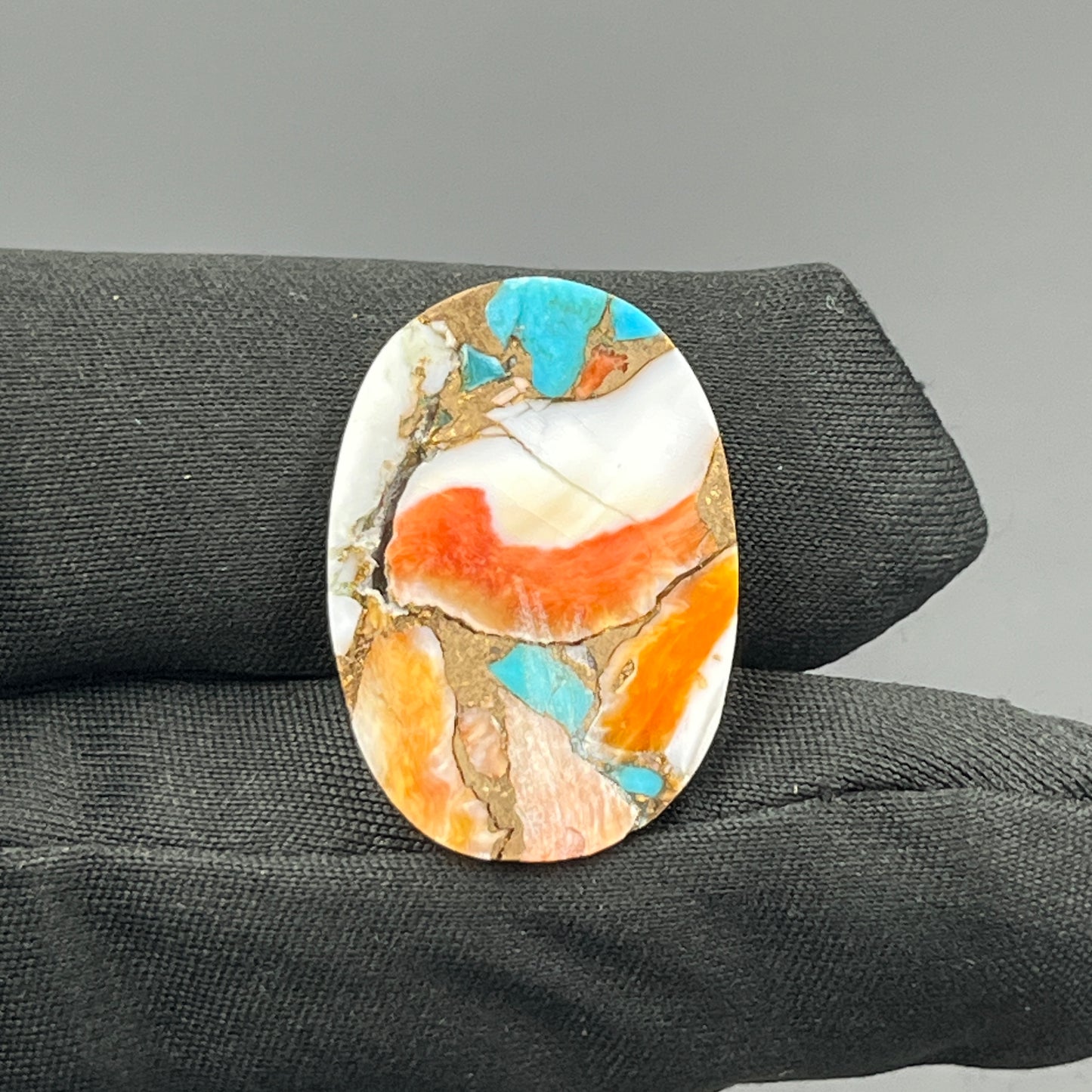 Kingman Spiny Oyster Turquoise - Loose Cab -Oval
