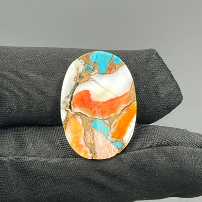Kingman Spiny Oyster Turquoise - Loose Cab -Oval