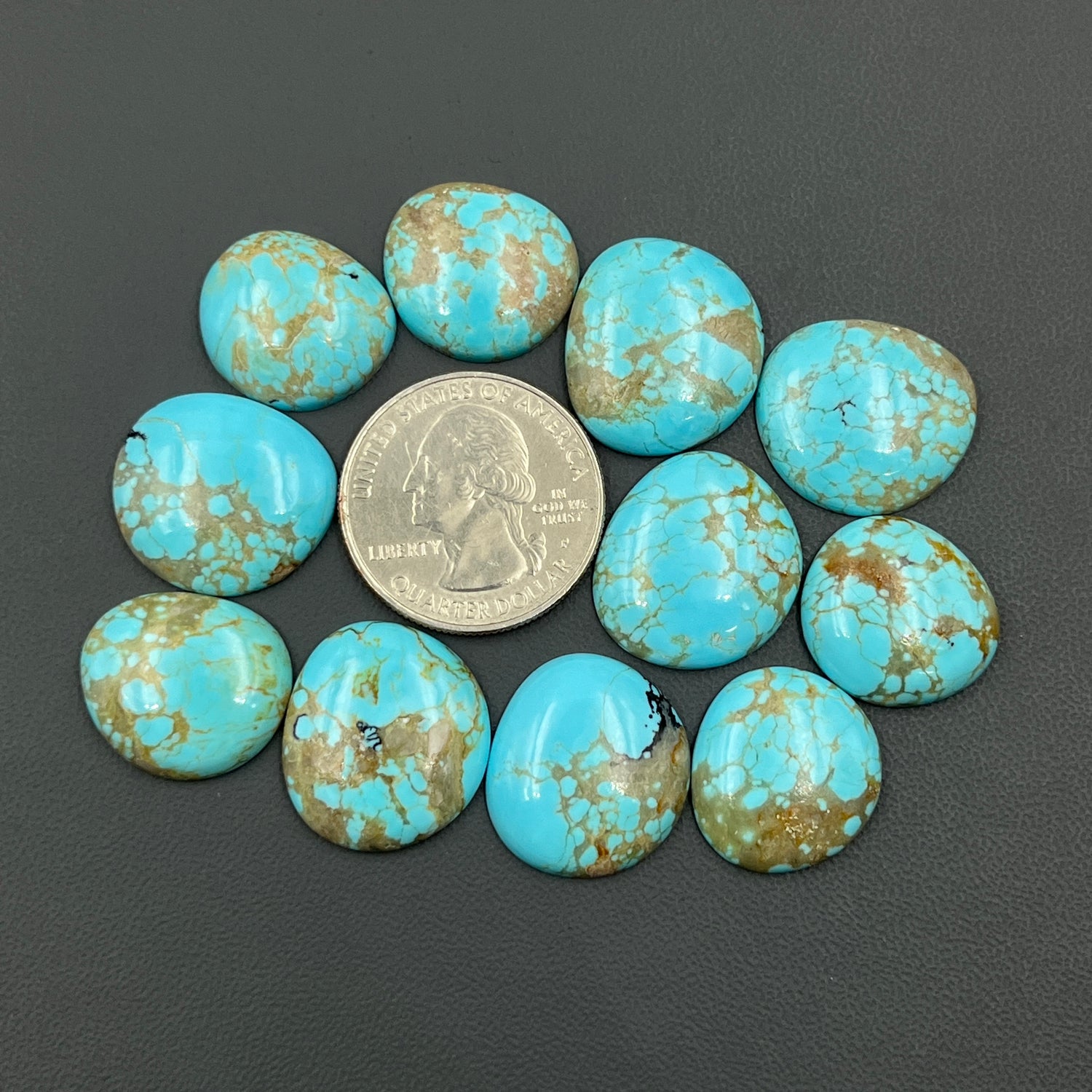 Mine 8 Turquoise Cabochon Wholesale Lot