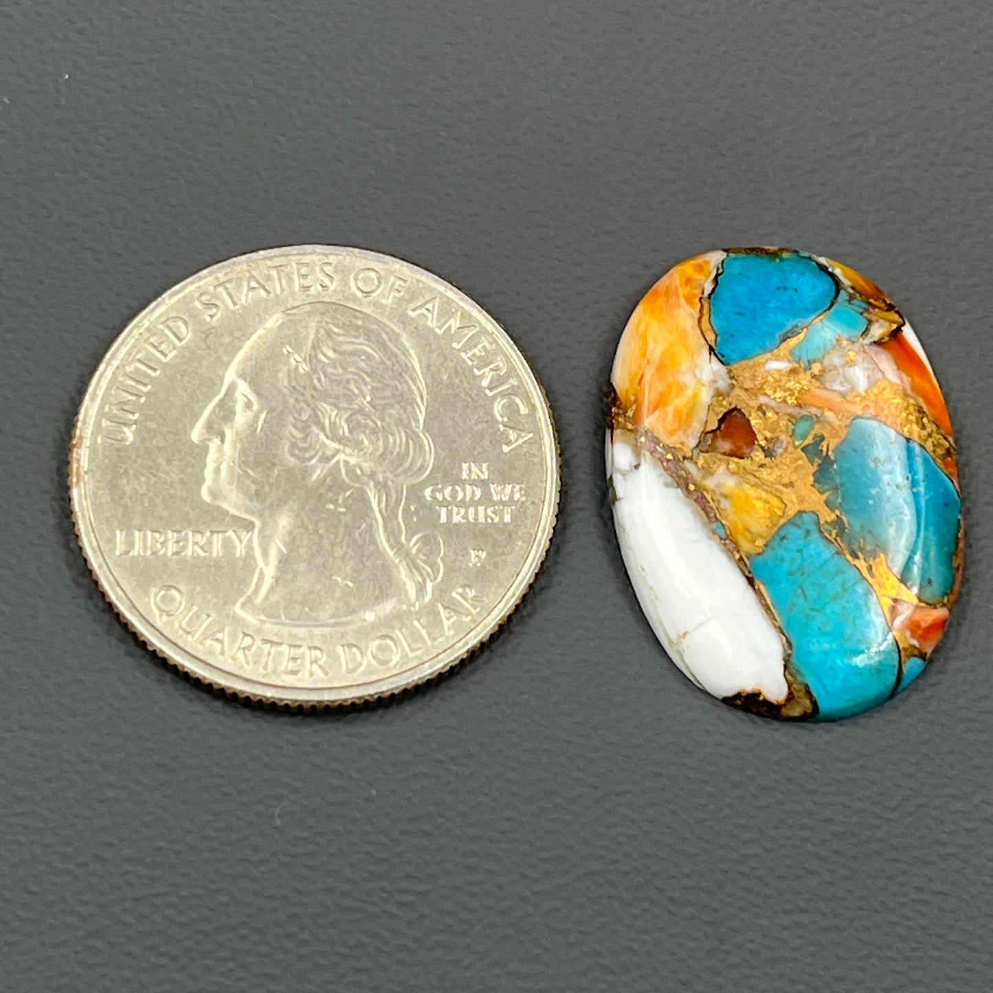 Kingman Spiny Oyster Turquoise - Loose Cab -Oval
