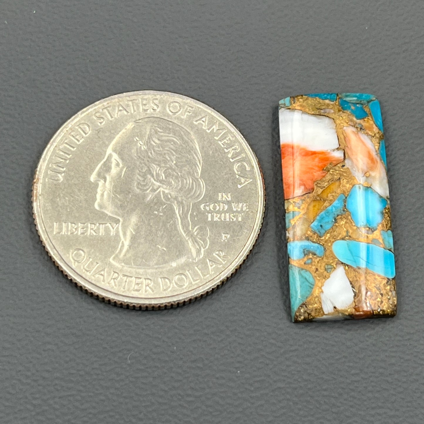 Kingman Spiny Oyster Turquoise - Loose Cab - Baguette