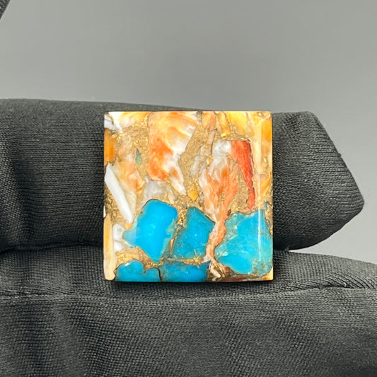 Kingman Spiny Oyster Turquoise - Loose Cab - Cushion
