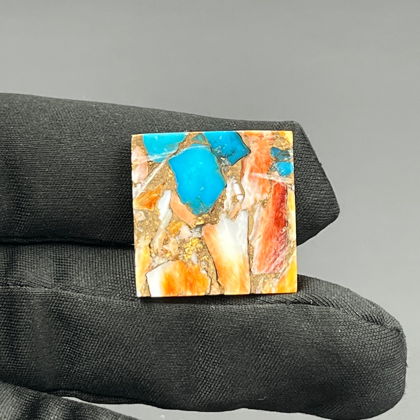 Kingman Spiny Oyster Turquoise - Loose Cab - Cushion