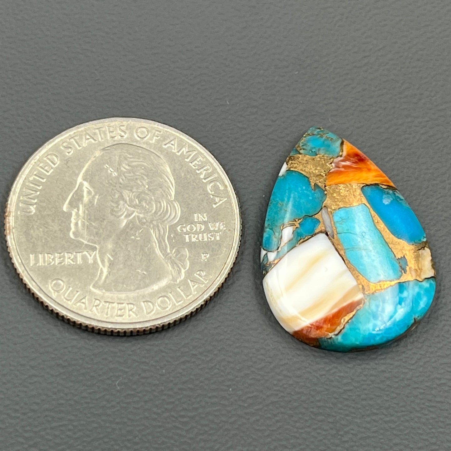 Kingman Spiny Oyster Turquoise - Loose Cab - Teardrop