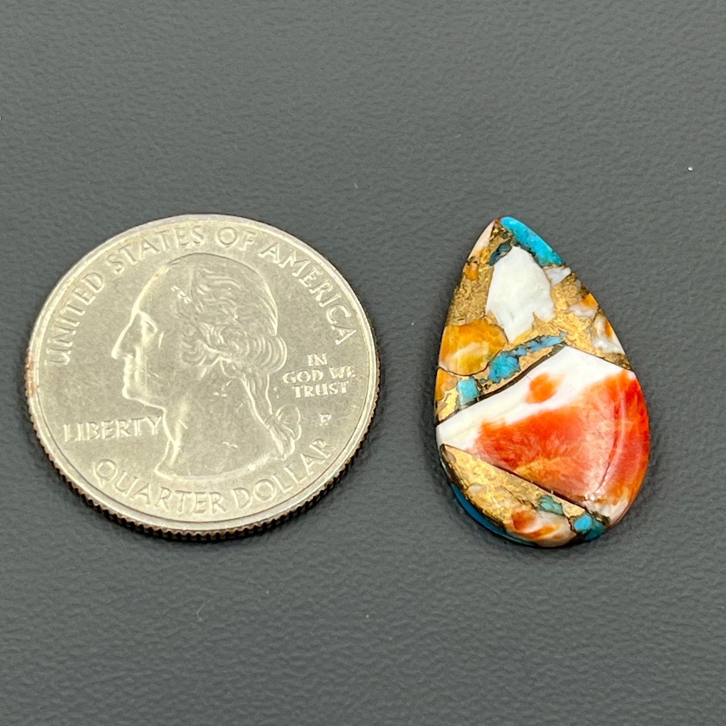 Kingman Spiny Oyster Turquoise - Loose Cab - Teardrop