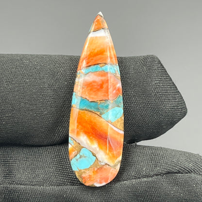 Kingman Spiny Oyster Turquoise - Loose Cab - Teardrop