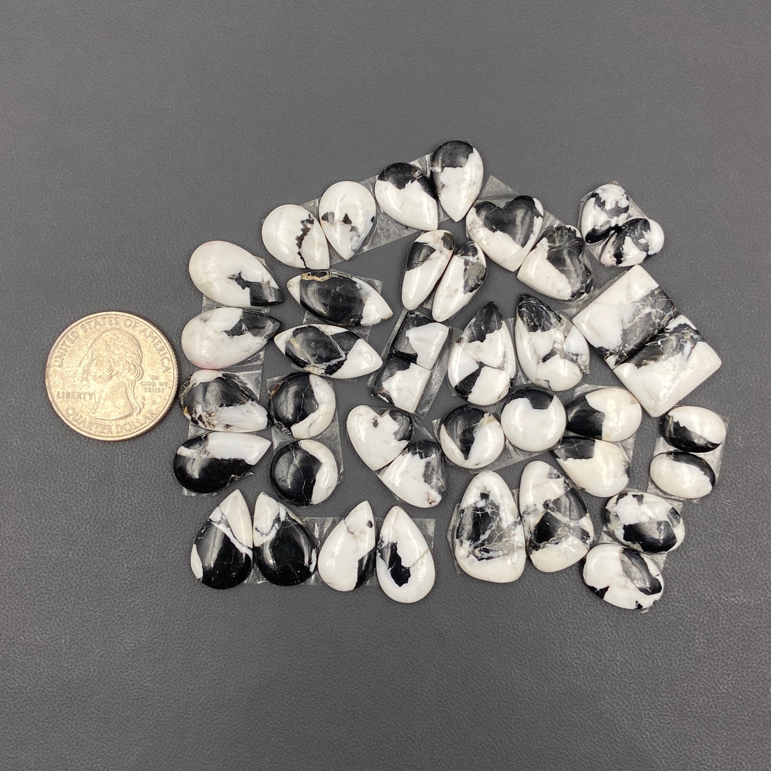 White Buffalo Dahlia - Matching  Pairs - Wholesale Lot - 20 Pair