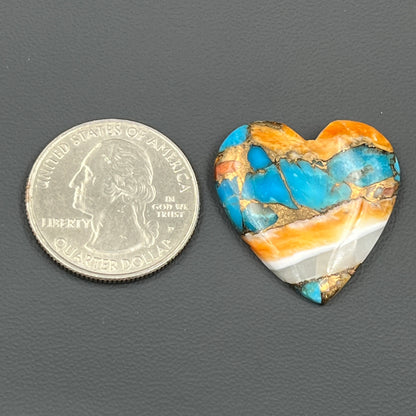 Kingman Spiny Oyster Turquoise - Loose Cab - Heart