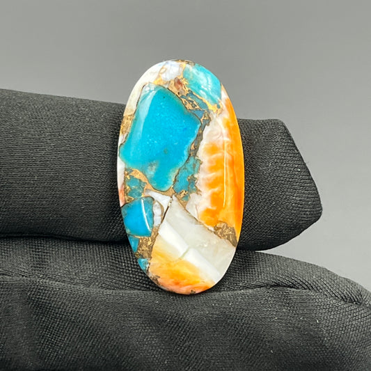 Kingman Spiny Oyster Turquoise - Loose Cab -Oval