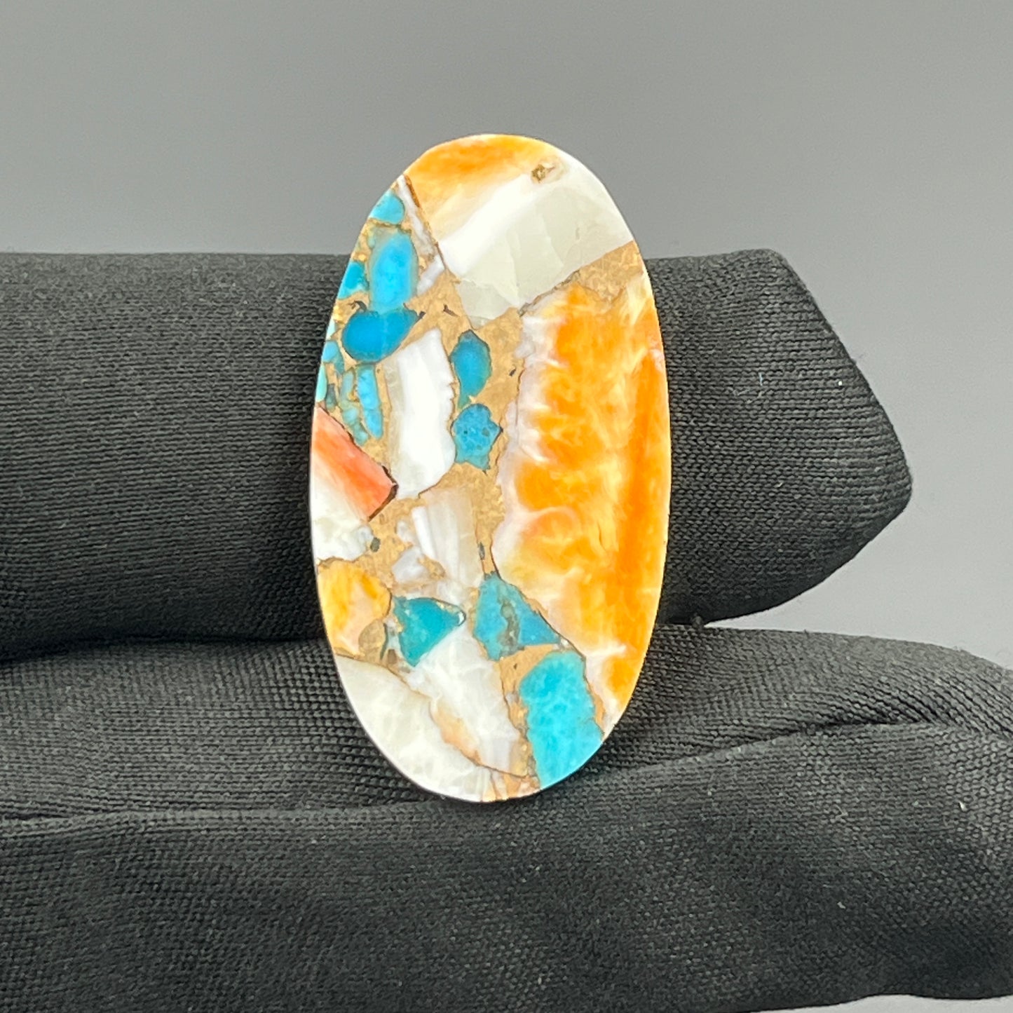 Kingman Spiny Oyster Turquoise - Loose Cab -Oval