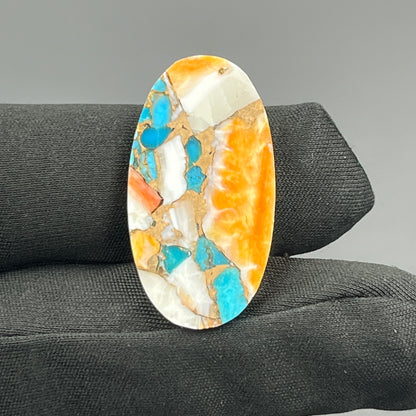 Kingman Spiny Oyster Turquoise - Loose Cab -Oval