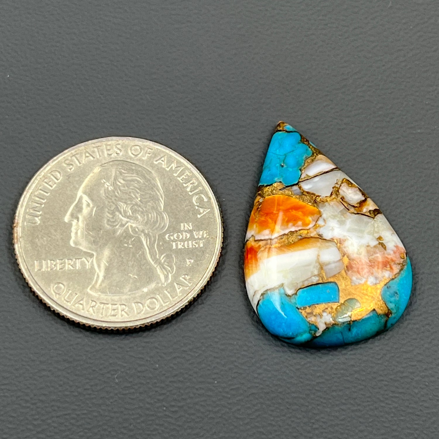 Kingman Spiny Oyster Turquoise - Loose Cab - Teardrop