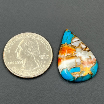 Kingman Spiny Oyster Turquoise - Loose Cab - Teardrop