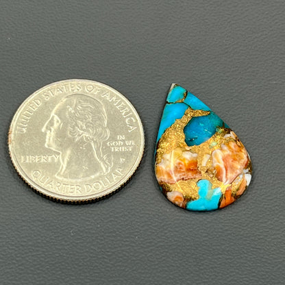 Kingman Spiny Oyster Turquoise - Loose Cab - Teardrop