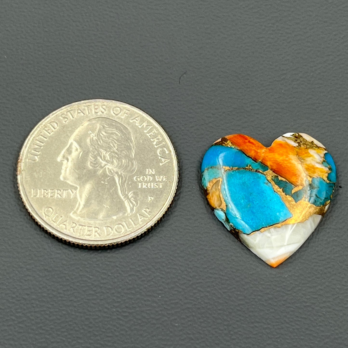 Kingman Spiny Oyster Turquoise - Loose Cab - Heart