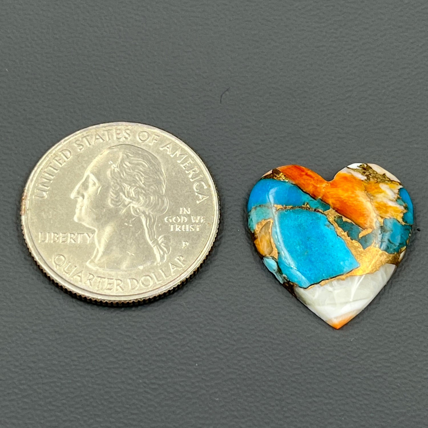 Kingman Spiny Oyster Turquoise - Loose Cab - Heart