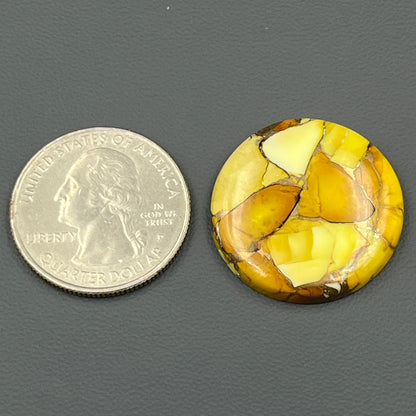 Kingman Honey Dahlia - Loose Cab - Round