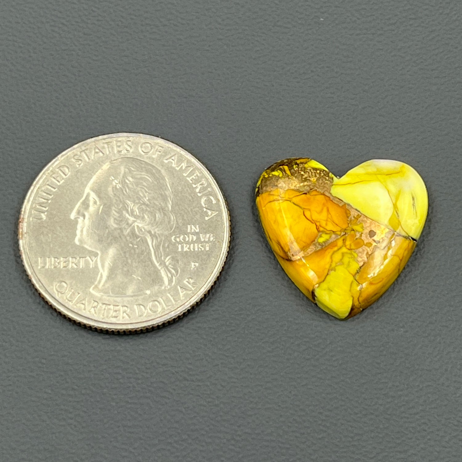 Kingman Honey Dahlia - Loose Cab - Heart