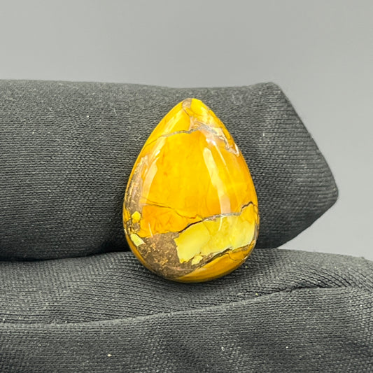 Kingman Honey Dahlia - Loose Cab - Teardrop