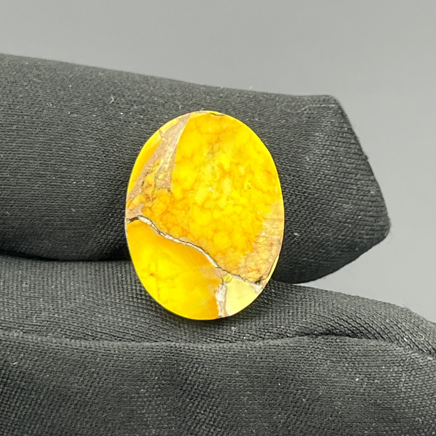 Kingman Honey Dahlia - Loose Cab - Oval