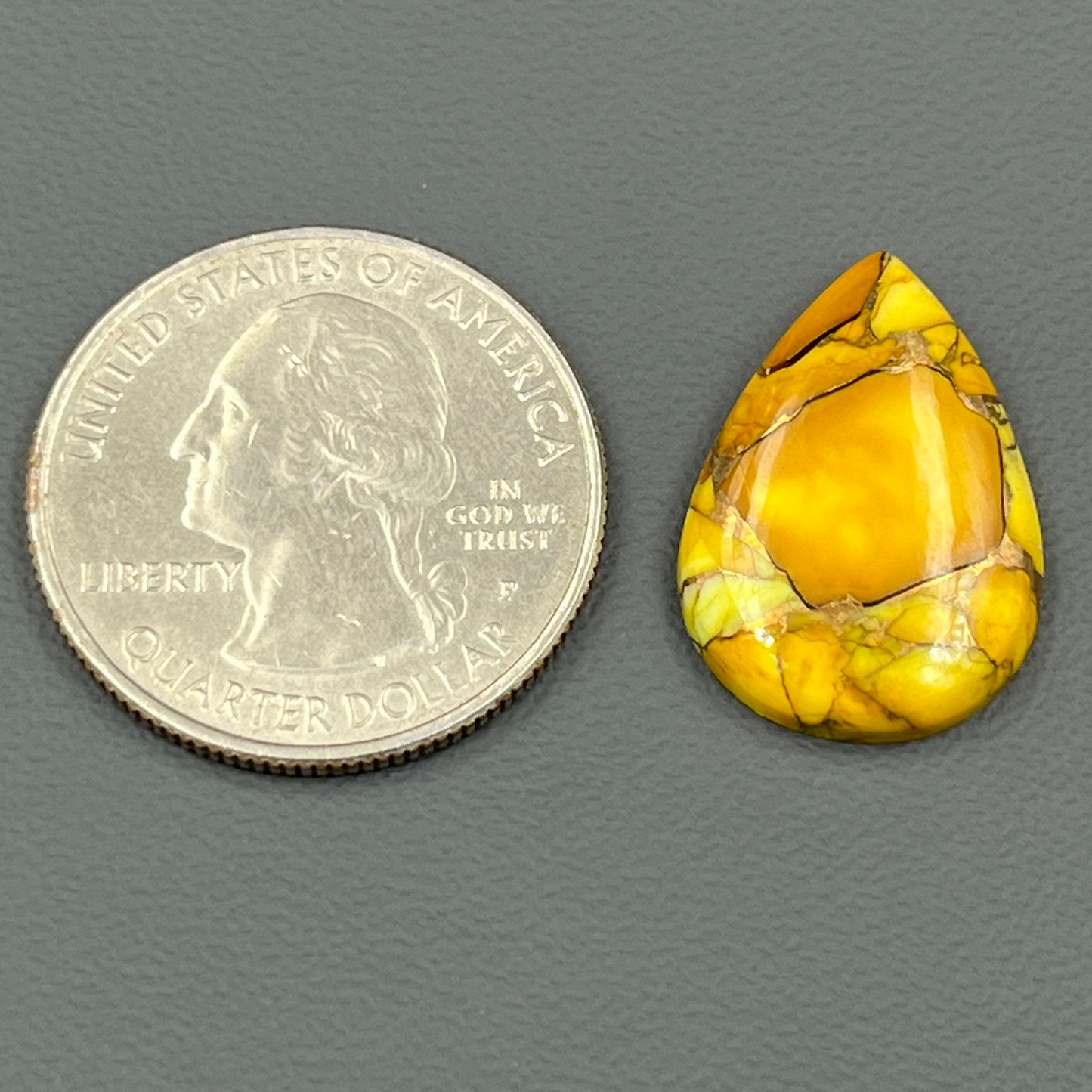 Kingman Honey Dahlia - Loose Cab - Teardrop