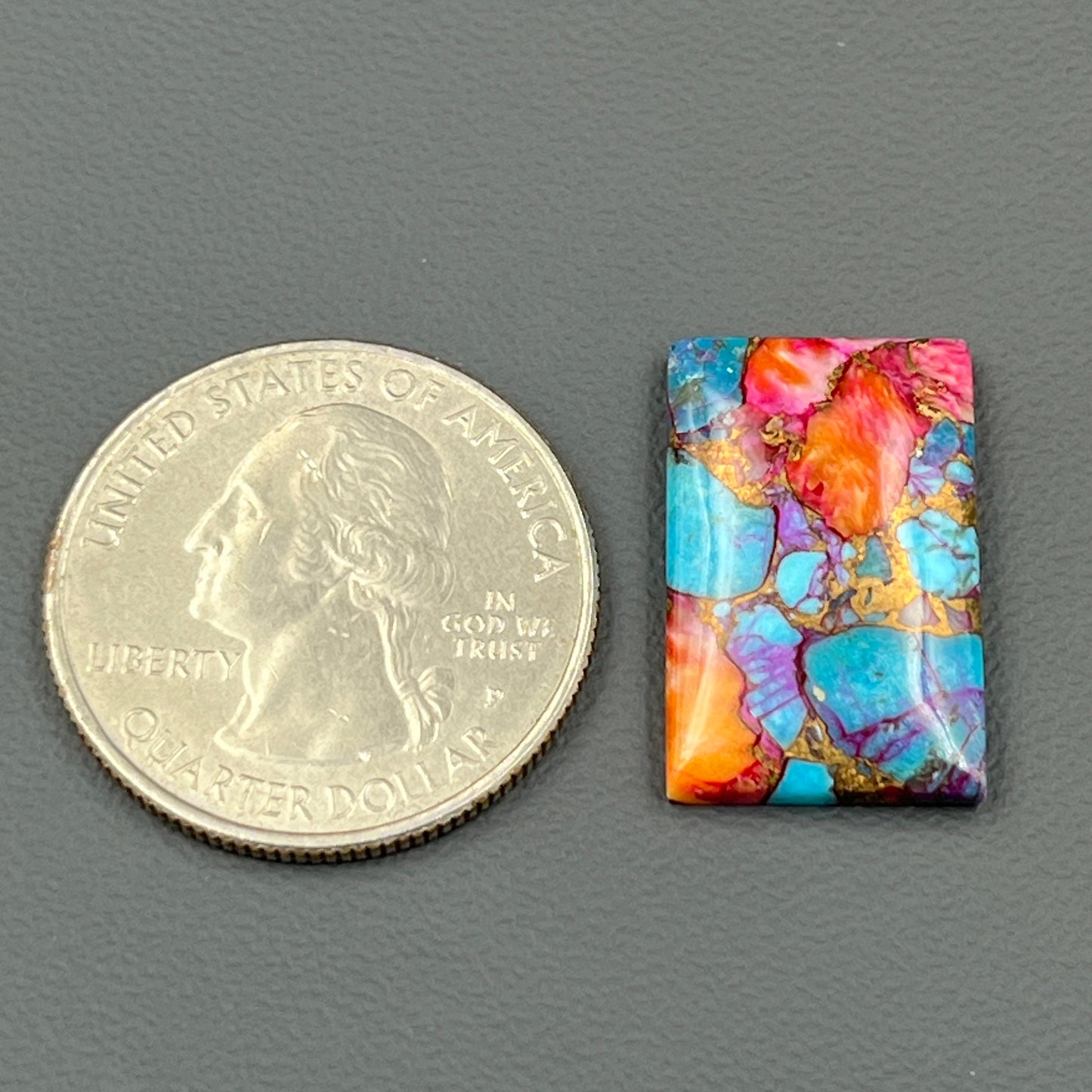 Kingman Pink Oyster Dahlia - Loose Cab - Baguette