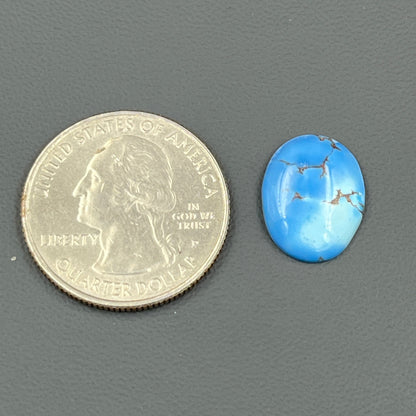 Top Quality Golden Hill Turquoise - Oval