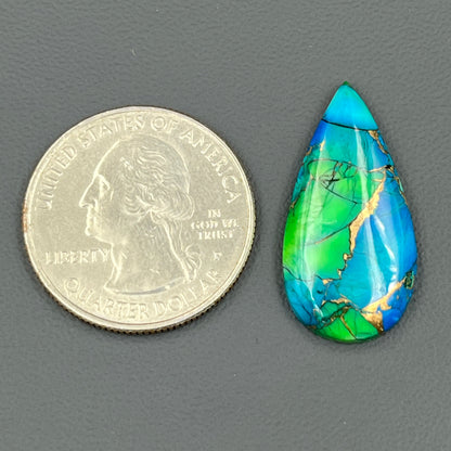 Kingman Peacock Dahlia - Loose Cab - Teardrop