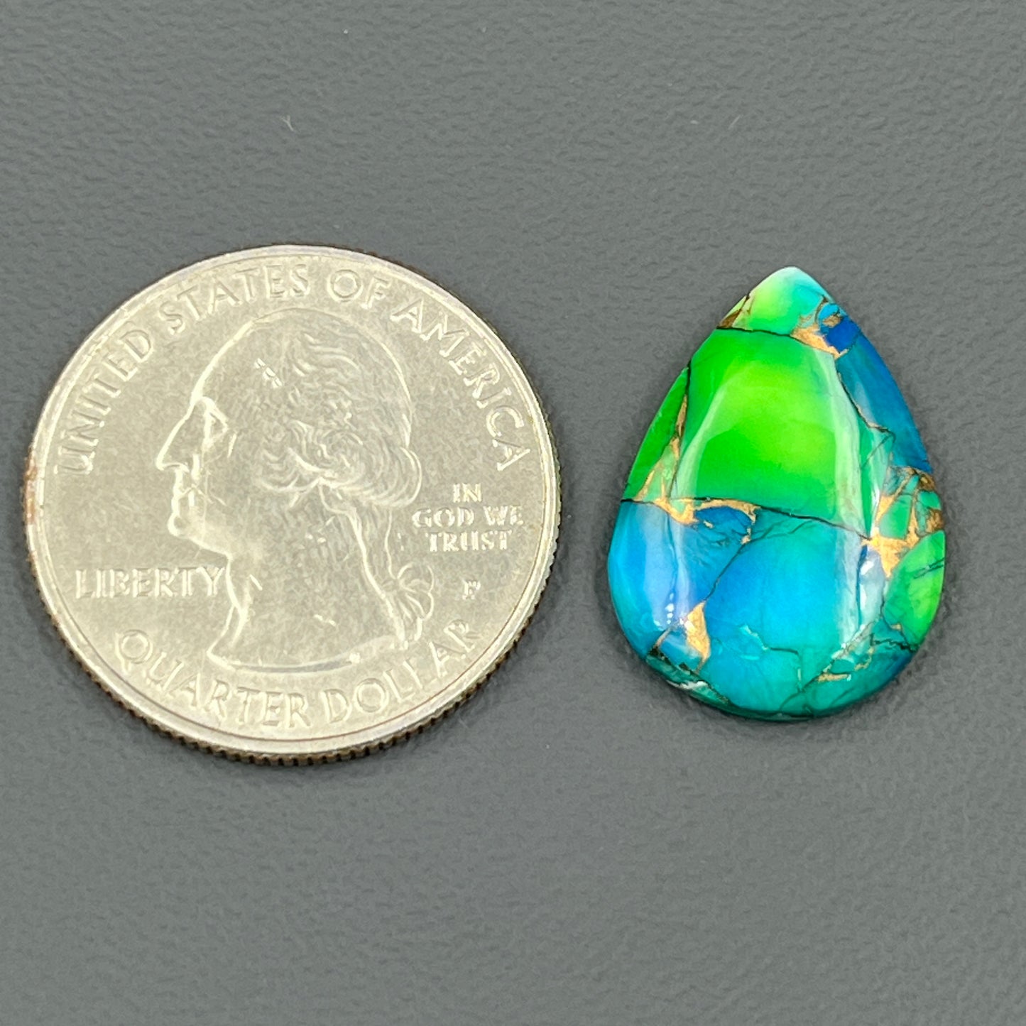 Kingman Peacock Dahlia - Loose Cab - Teardrop